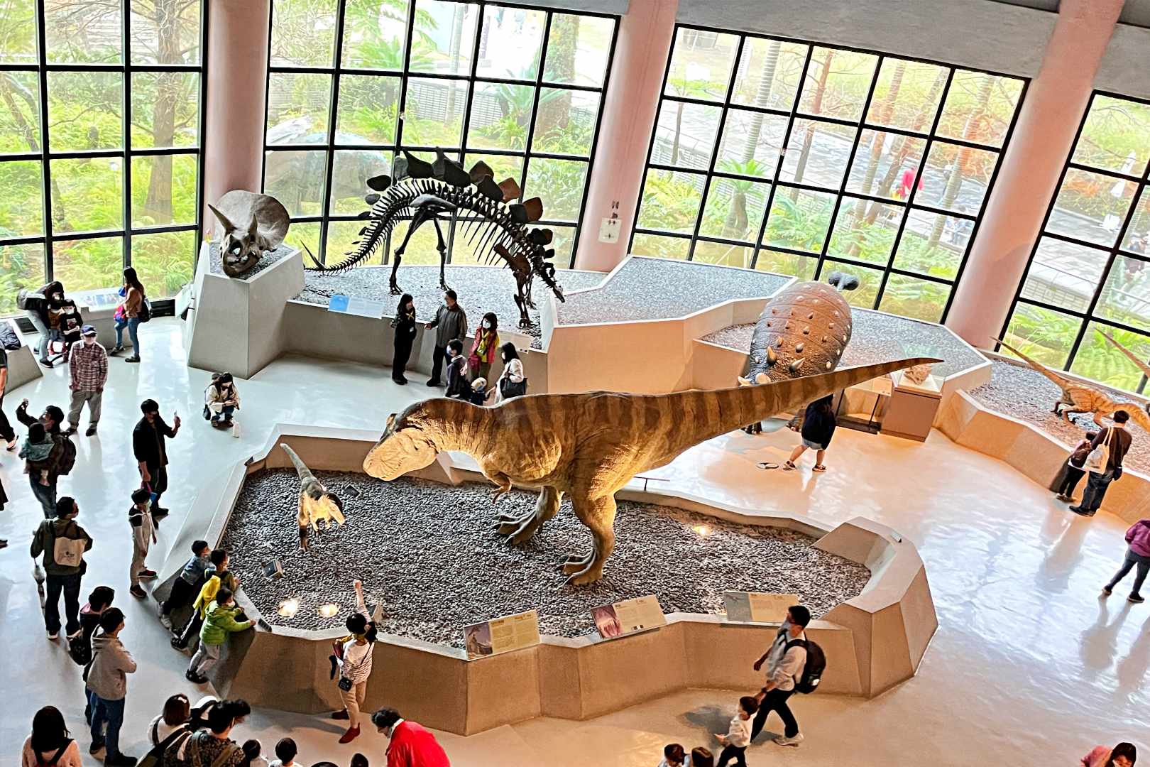 國立自然科學博物館, 國立自然科學博物館 恐龍, 科博館, 科博館 恐龍, 台中景點