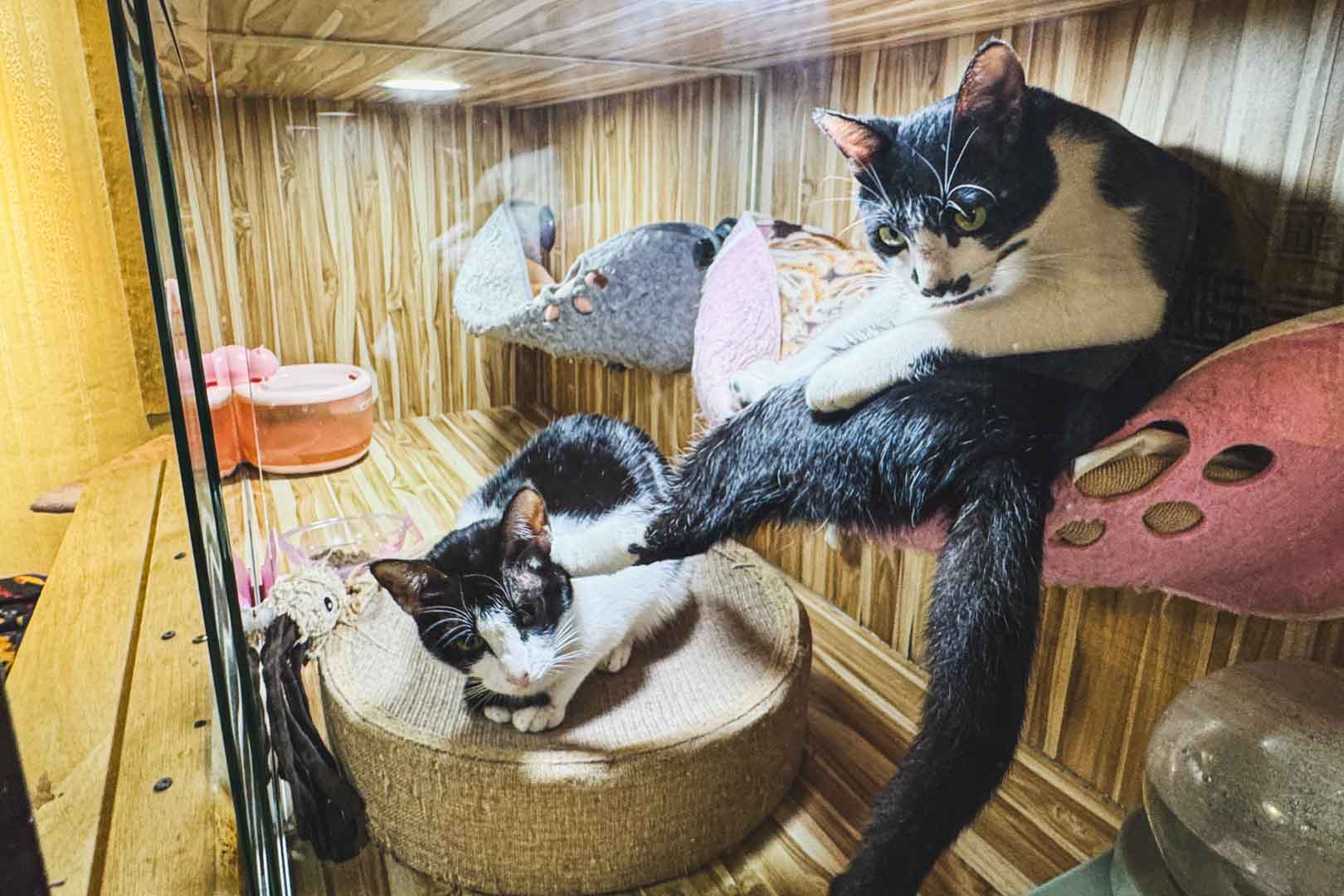 e書漫, e書漫菜單, e書漫收費, e書漫預約, e書漫包廂, 台北景點