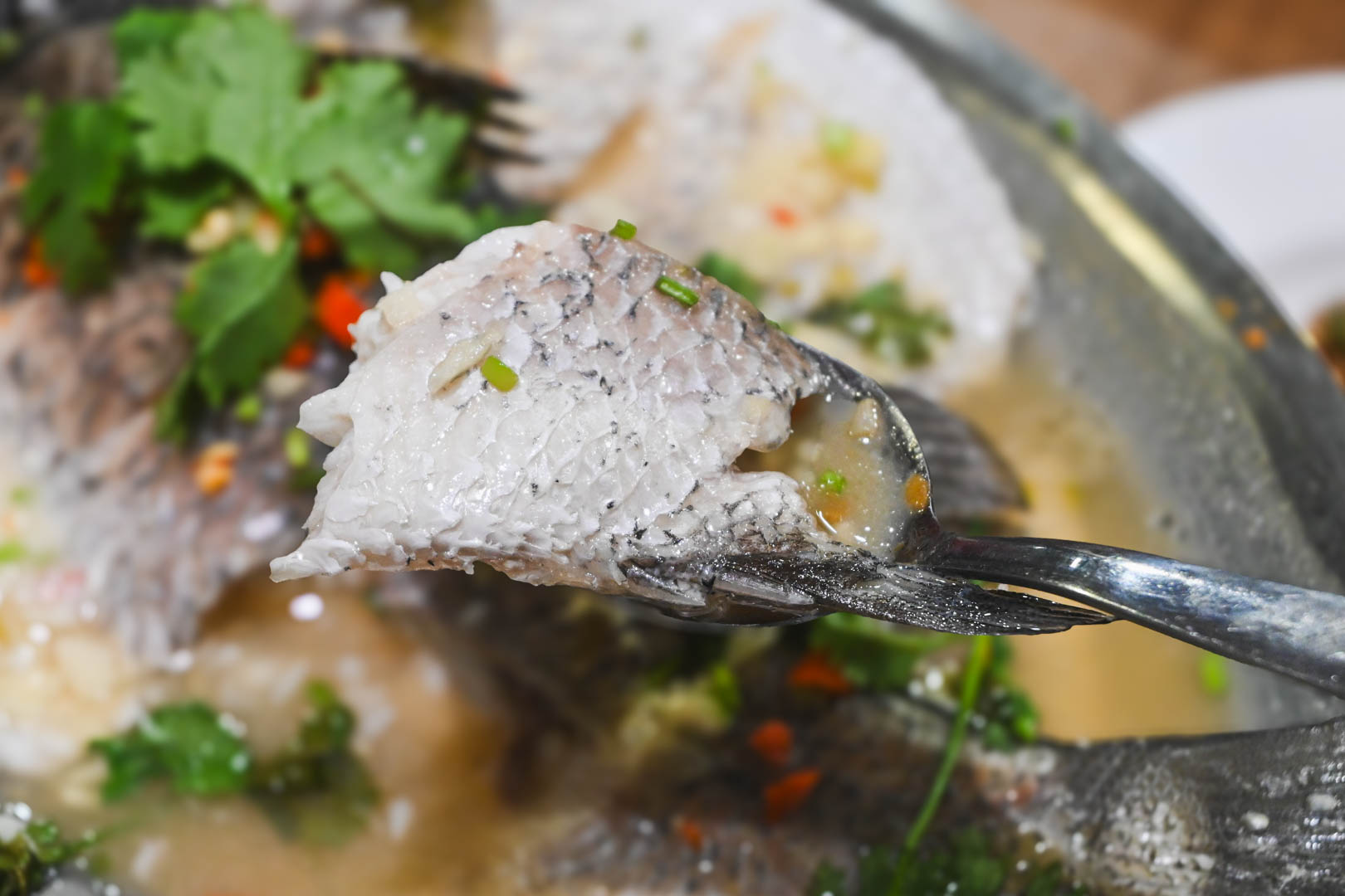 泰雅軒, 泰雅軒菜單, 泰雅軒推薦, 內湖美食 泰雅軒, 泰雅軒菜單, 泰雅軒推薦, 內湖美食