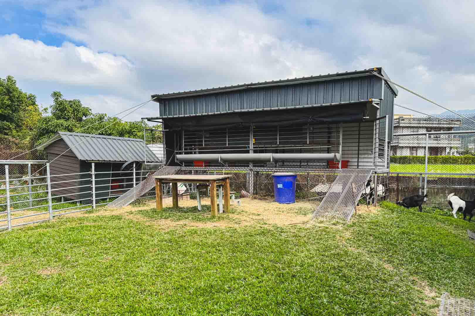棗莊古藝庭園膳坊, 棗莊菜單, 棗莊推薦, 棗莊評價, 棗莊訂位, 棗莊停車, 苗栗美食