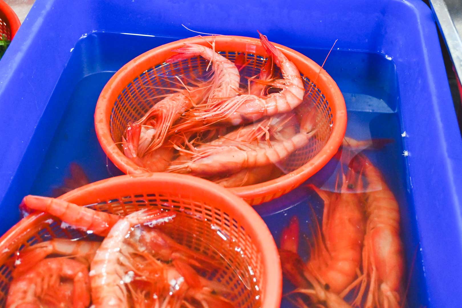 麗雪姨海鮮快炒代客料理, 麗雪姨海鮮快炒代客料理菜單, 麗雪姨海鮮快炒代客料理推薦, 麗雪姨海鮮快炒代客料理評價, 大溪漁港, 大溪漁港停車, 宜蘭美食, 頭城美食