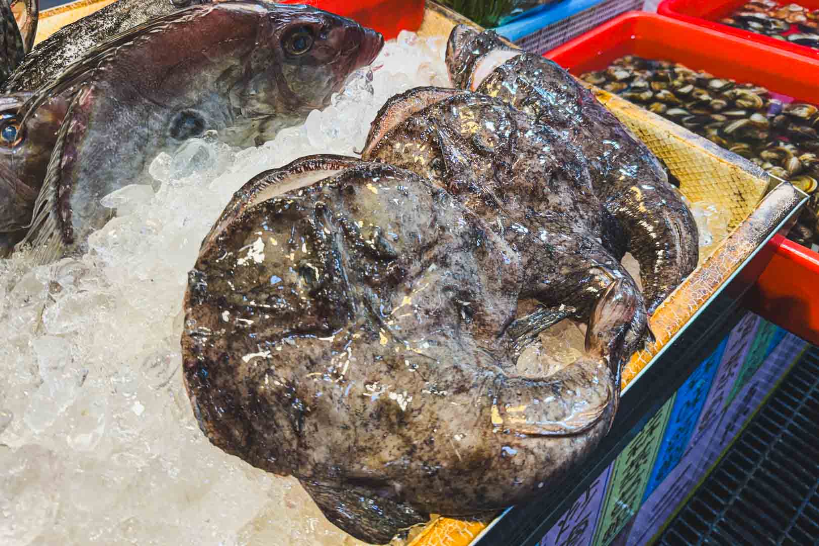 麗雪姨海鮮快炒代客料理, 麗雪姨海鮮快炒代客料理菜單, 麗雪姨海鮮快炒代客料理推薦, 麗雪姨海鮮快炒代客料理評價, 大溪漁港, 大溪漁港停車, 宜蘭美食, 頭城美食