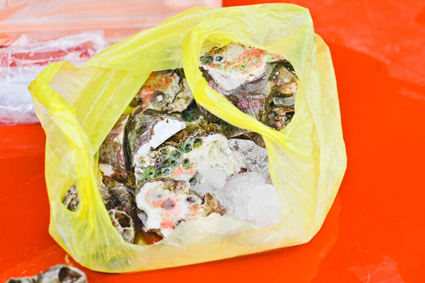 小老闆海鮮料理代客料理, 小老闆海鮮料理代客料理菜單, 小老闆海鮮料理代客料理推薦, 宜蘭美食, 大溪漁港美食, 大溪漁港停車